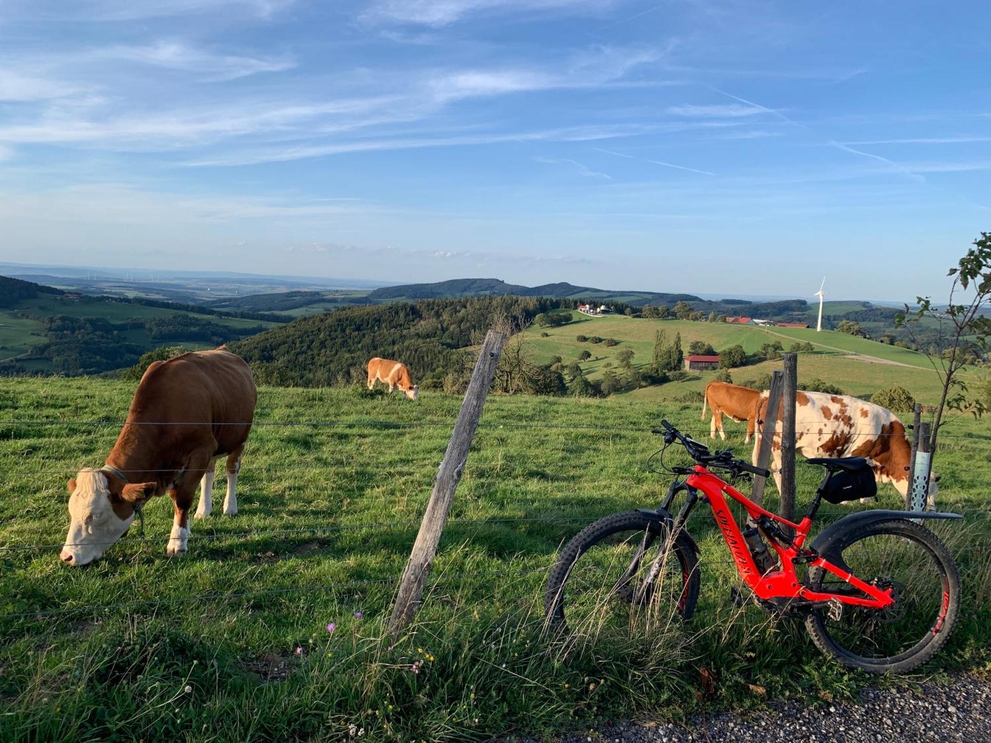 Landgasthof Zur Linde Laaben Exterior foto